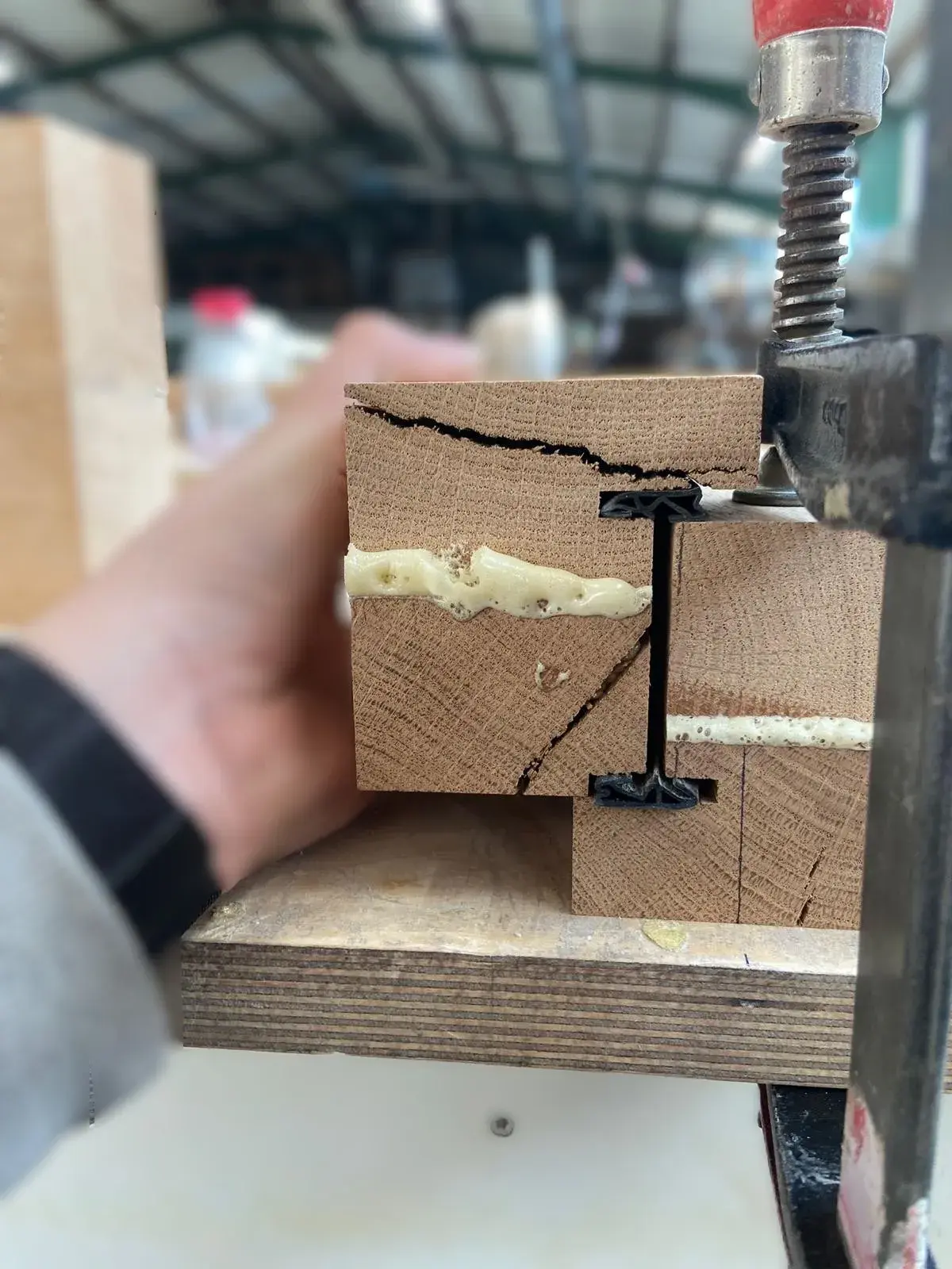 Tischlereimeister bei der Arbeit