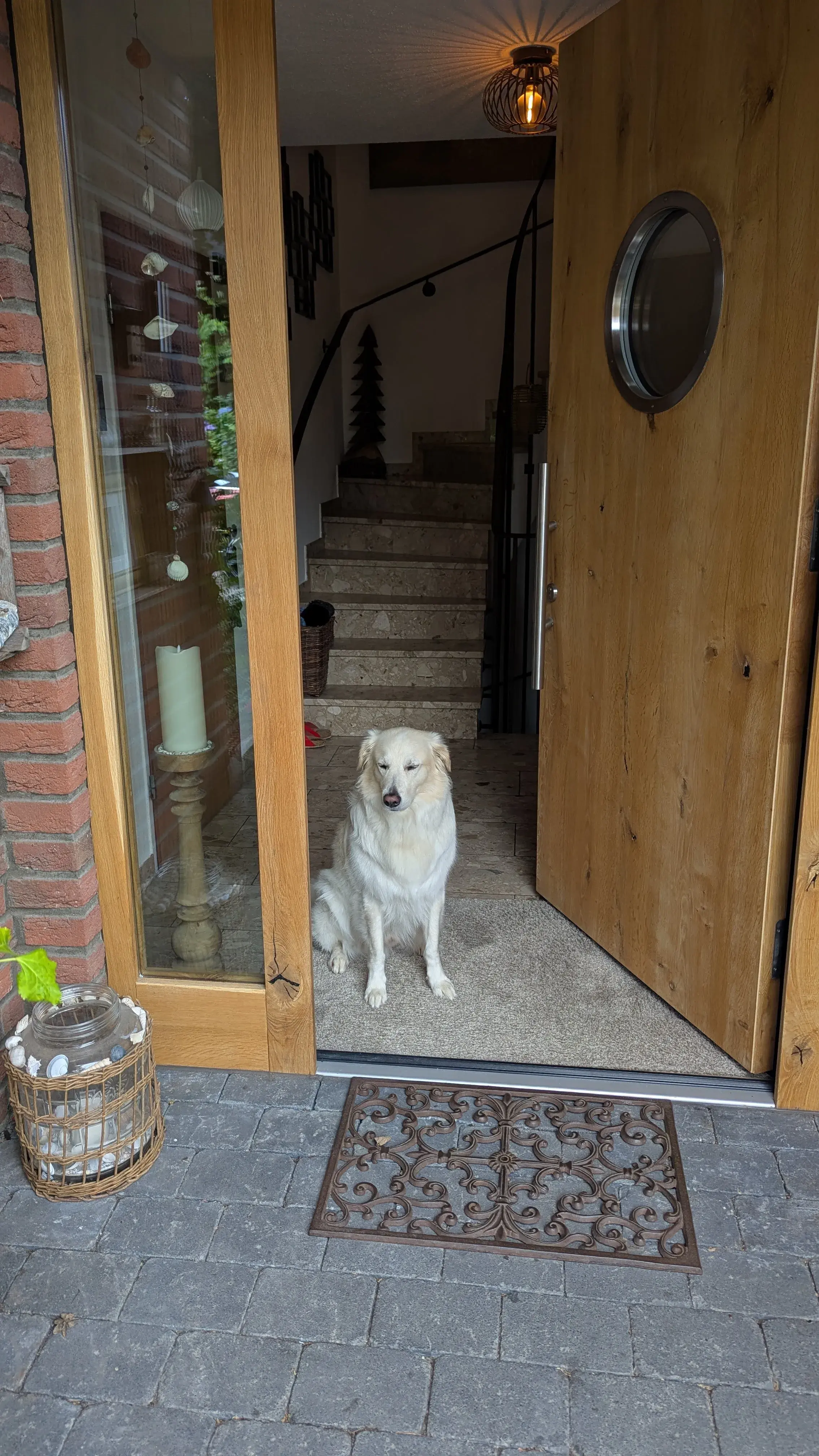 fertige Haustür beim Kunden, geöffnet mit Hund